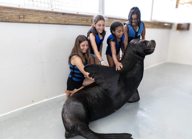Four children petting a seal in an indoor setting.