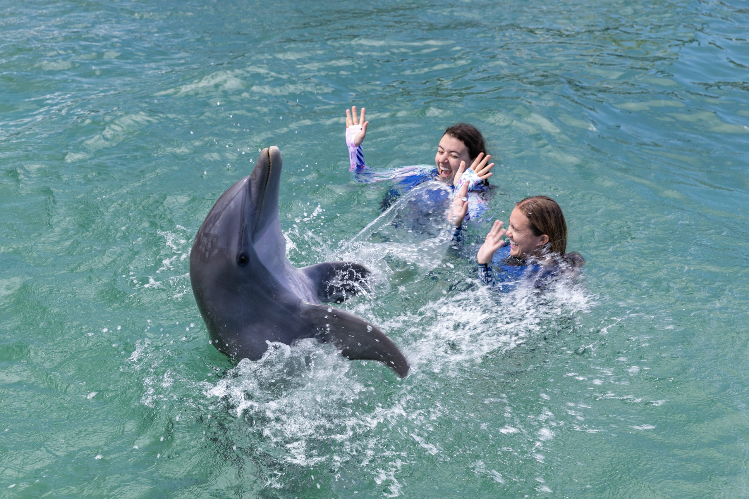 Two people in wetsuits joyfully interacting with a dolphin in water.