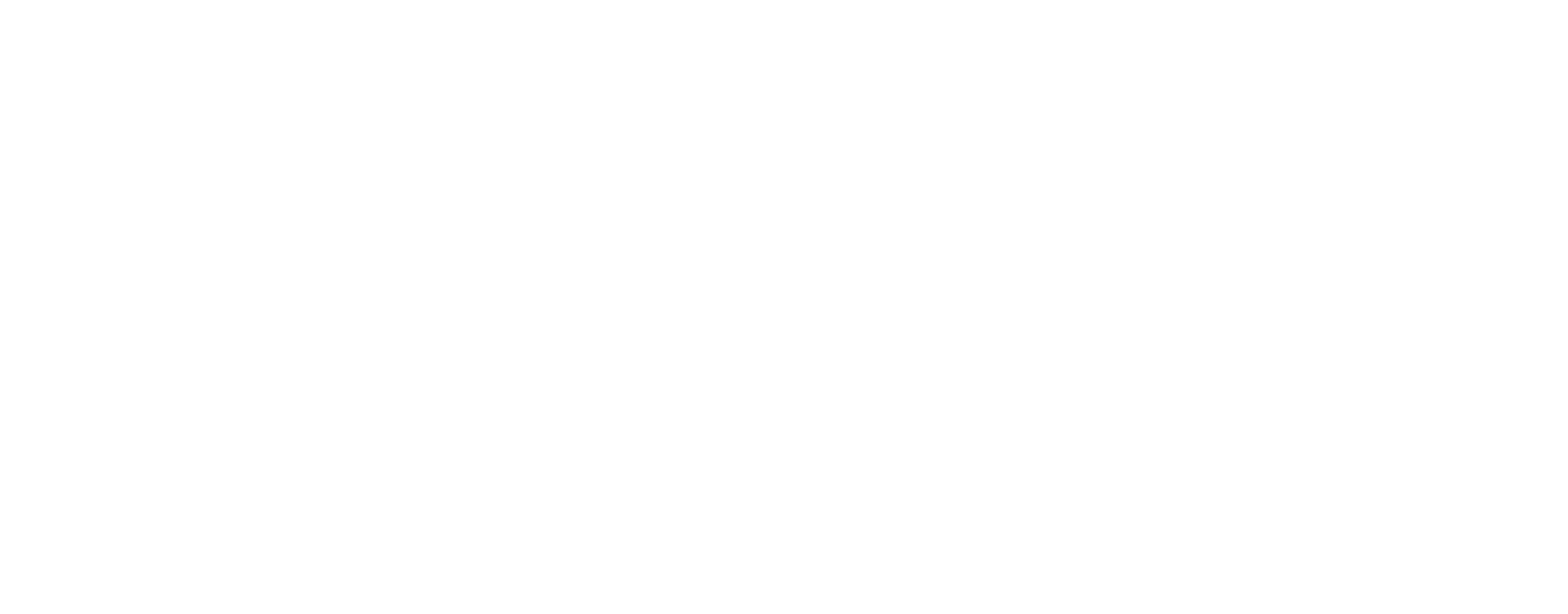 Solid white background with no visible elements.
