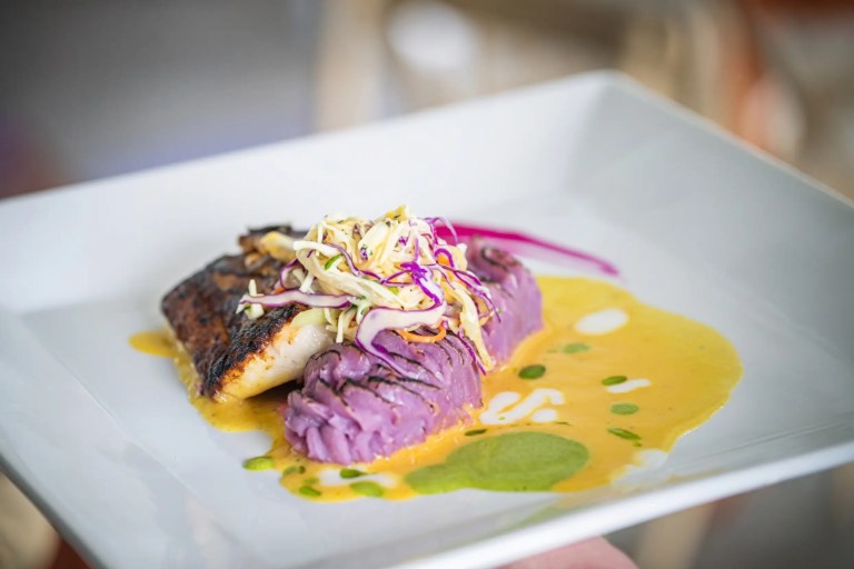 Grilled fish with purple mash, topped with slaw and yellow sauce on a square plate.