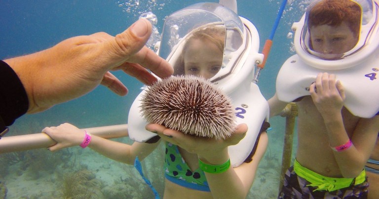 Two people underwater holding a sea urchin, wearing helmets for breathing.