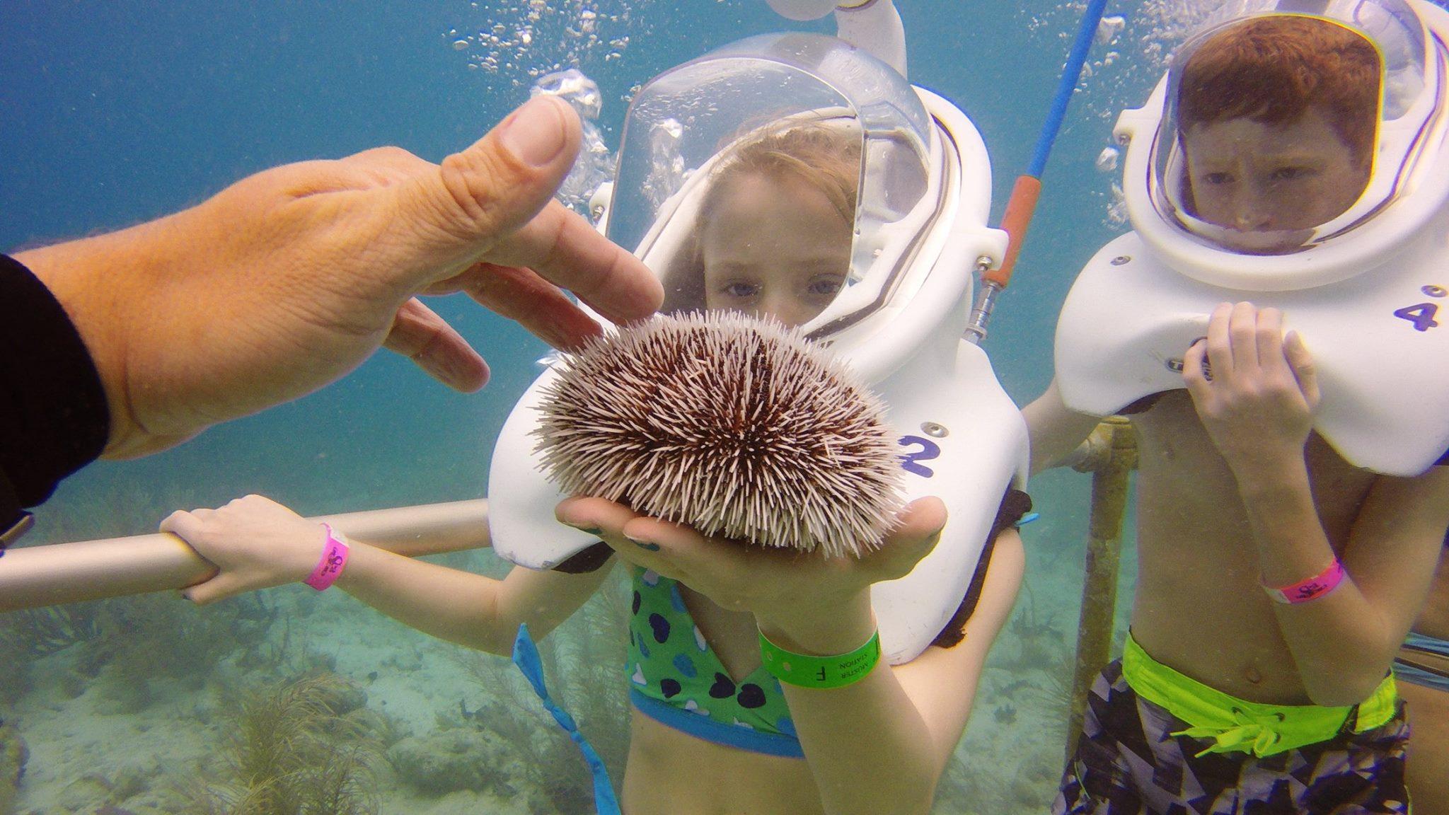 Two kids underwater wearing helmets, one holding a sea urchin.