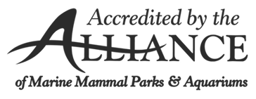 Alliance accreditation logo for marine mammal parks and aquariums.
