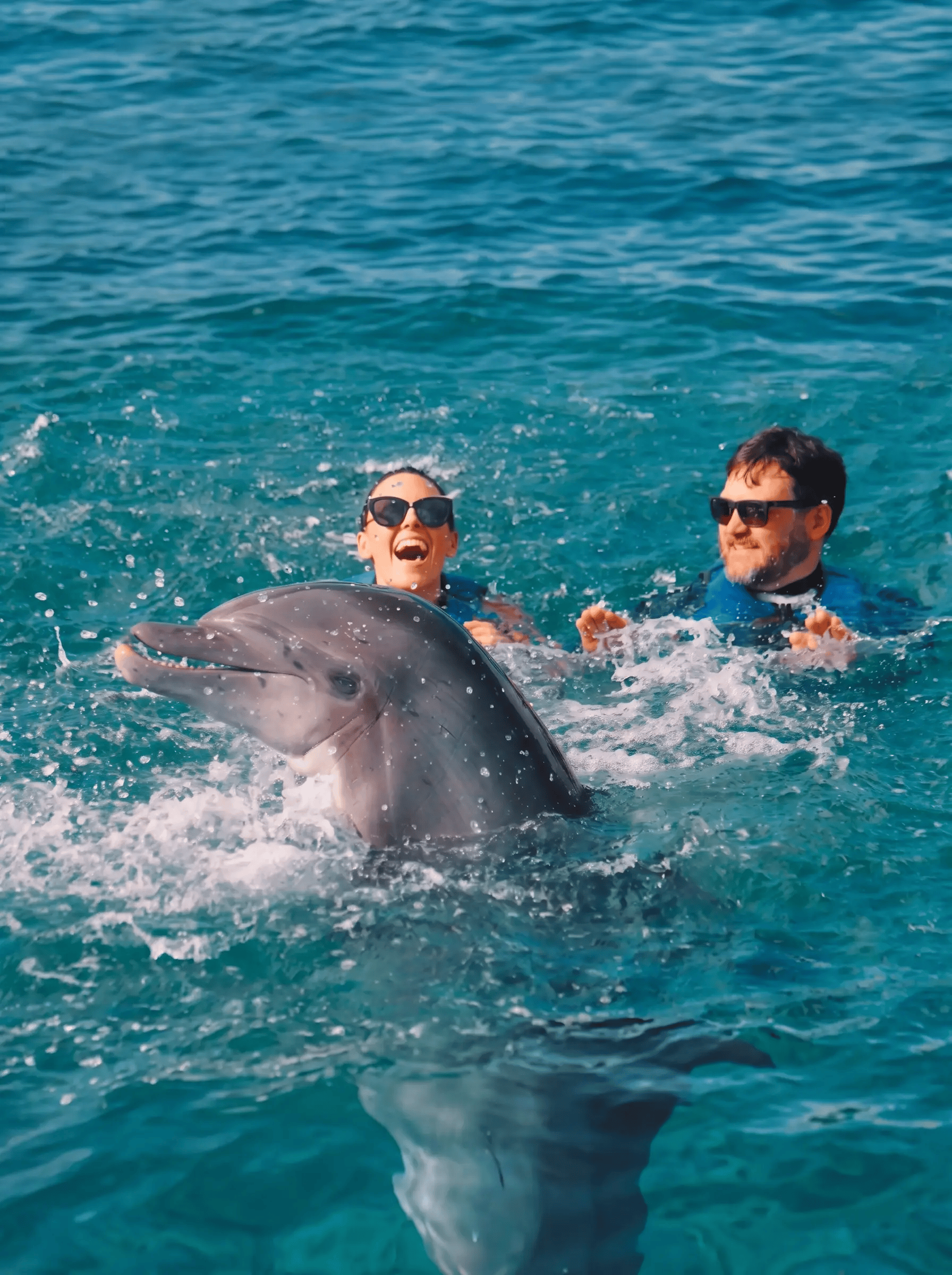 Two people swimming with a dolphin in clear blue water.