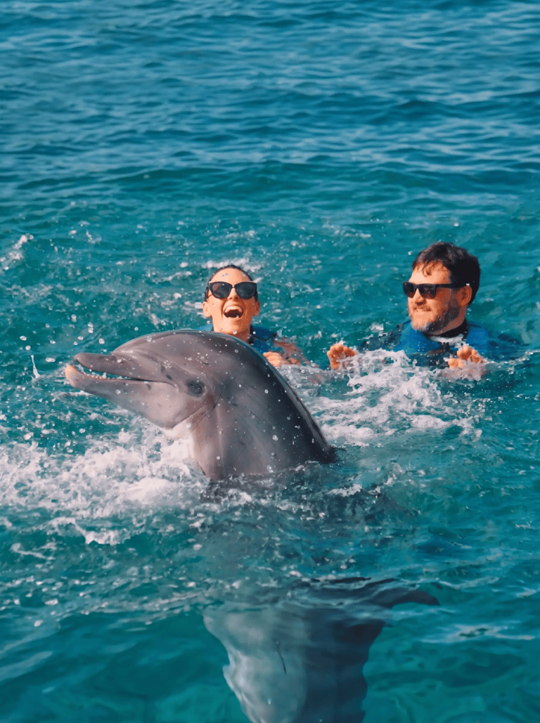 Two people swimming with a dolphin in clear blue water.