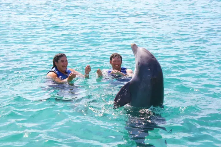 Two people swimming with a dolphin in clear blue water.