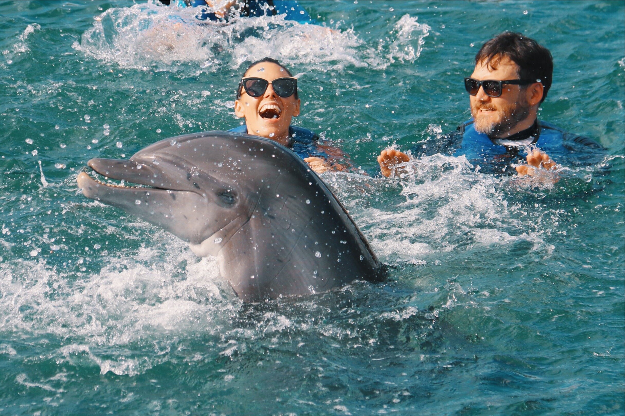Two people swimming with a dolphin in ocean water, all wearing blue life vests.