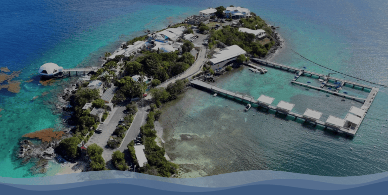 Aerial view of island with buildings, surrounded by clear blue water.