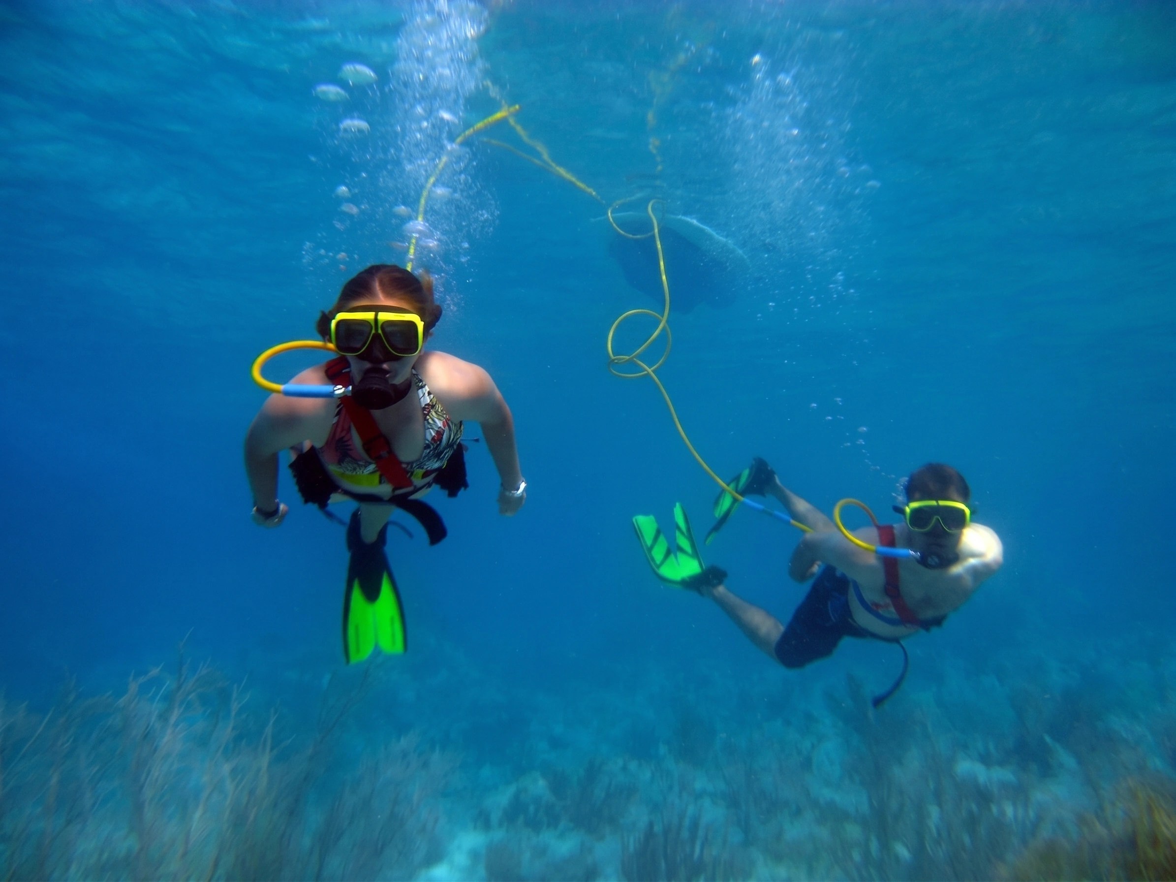 Two people snorkeling underwater with yellow gear and fins.