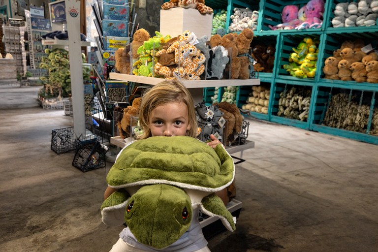 Child holding a green stuffed turtle in a toy store, surrounded by plush toys.