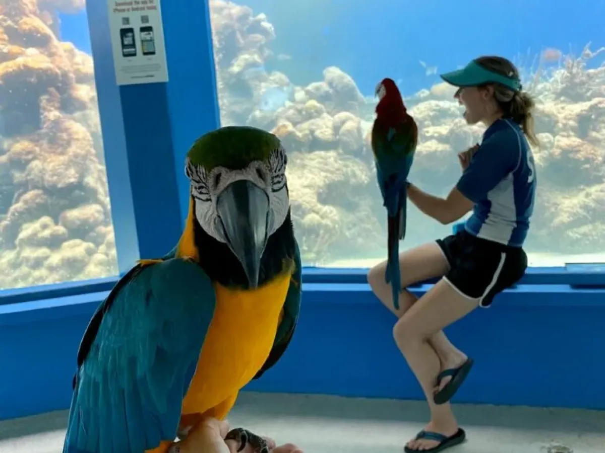 a person standing in front of a blue wall