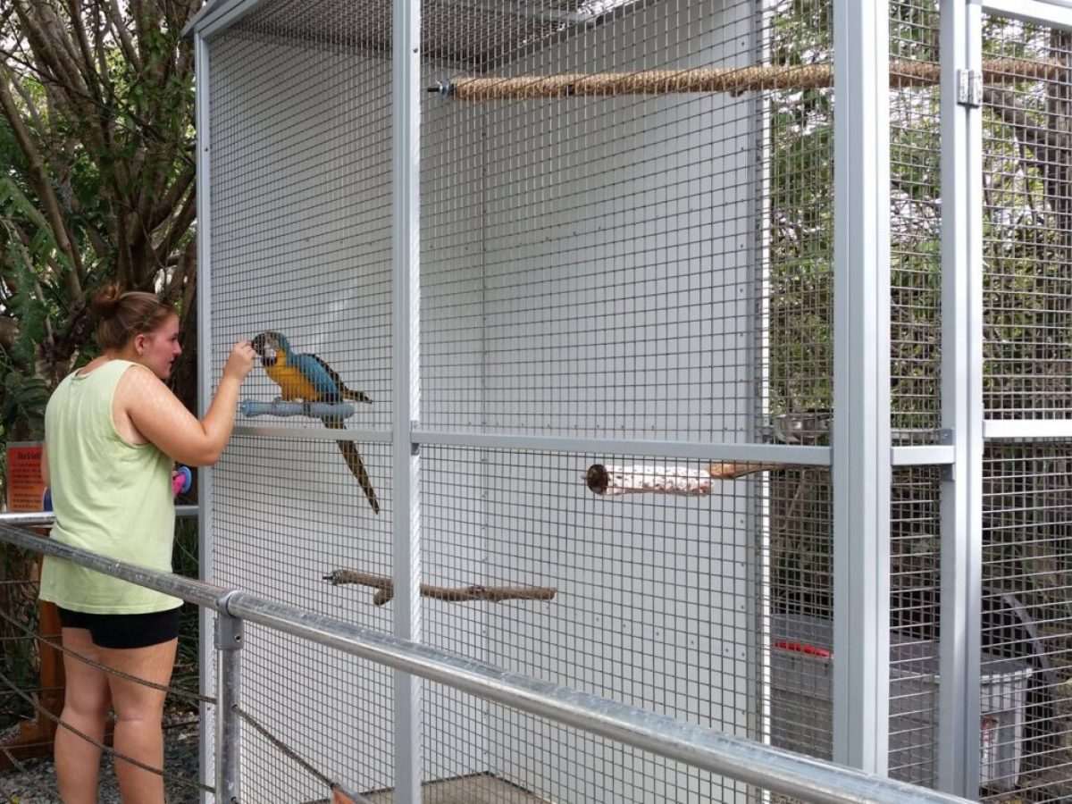 a person standing in a cage