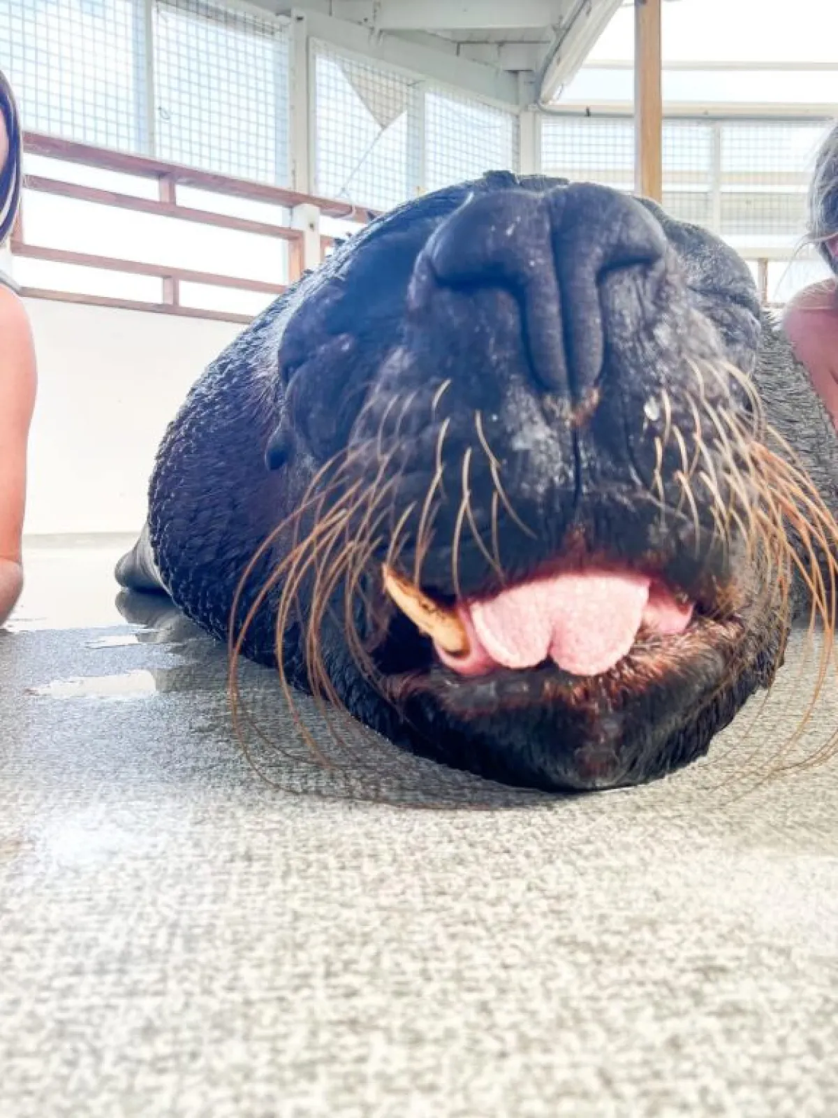 a woman wearing sunglasses posing for the camera