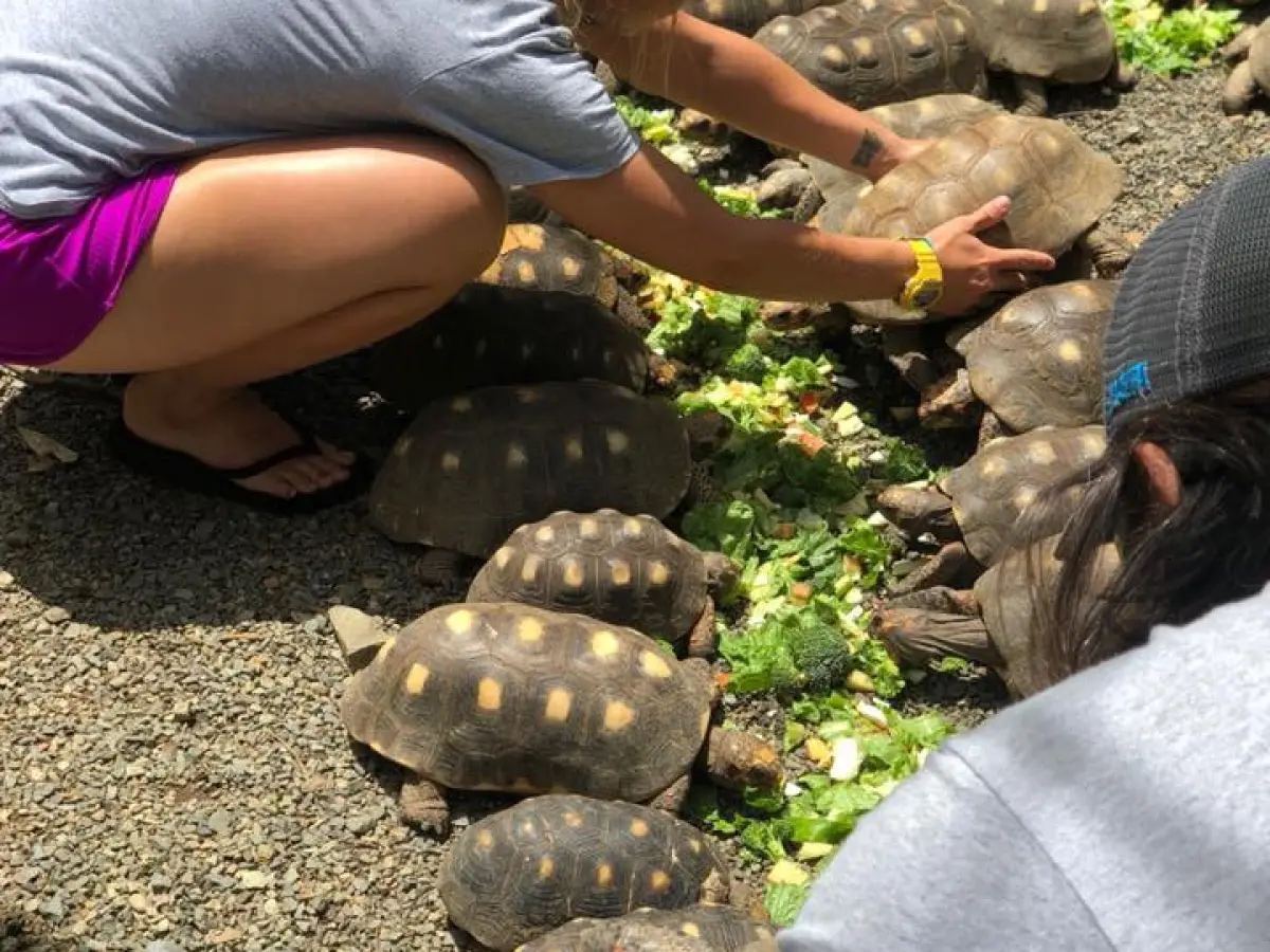 a group of people sitting at a beach