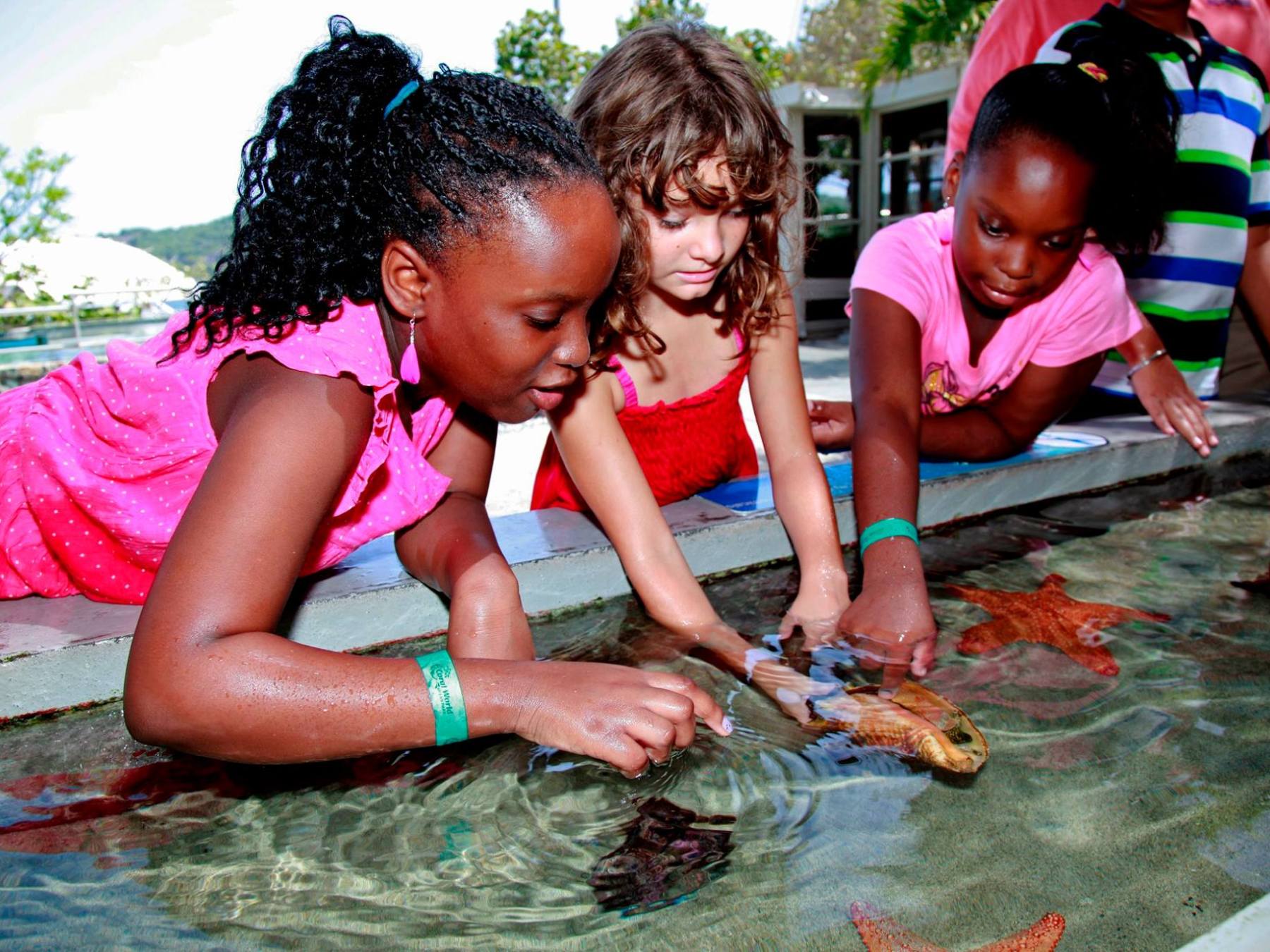 a group of young children sitting next to a river