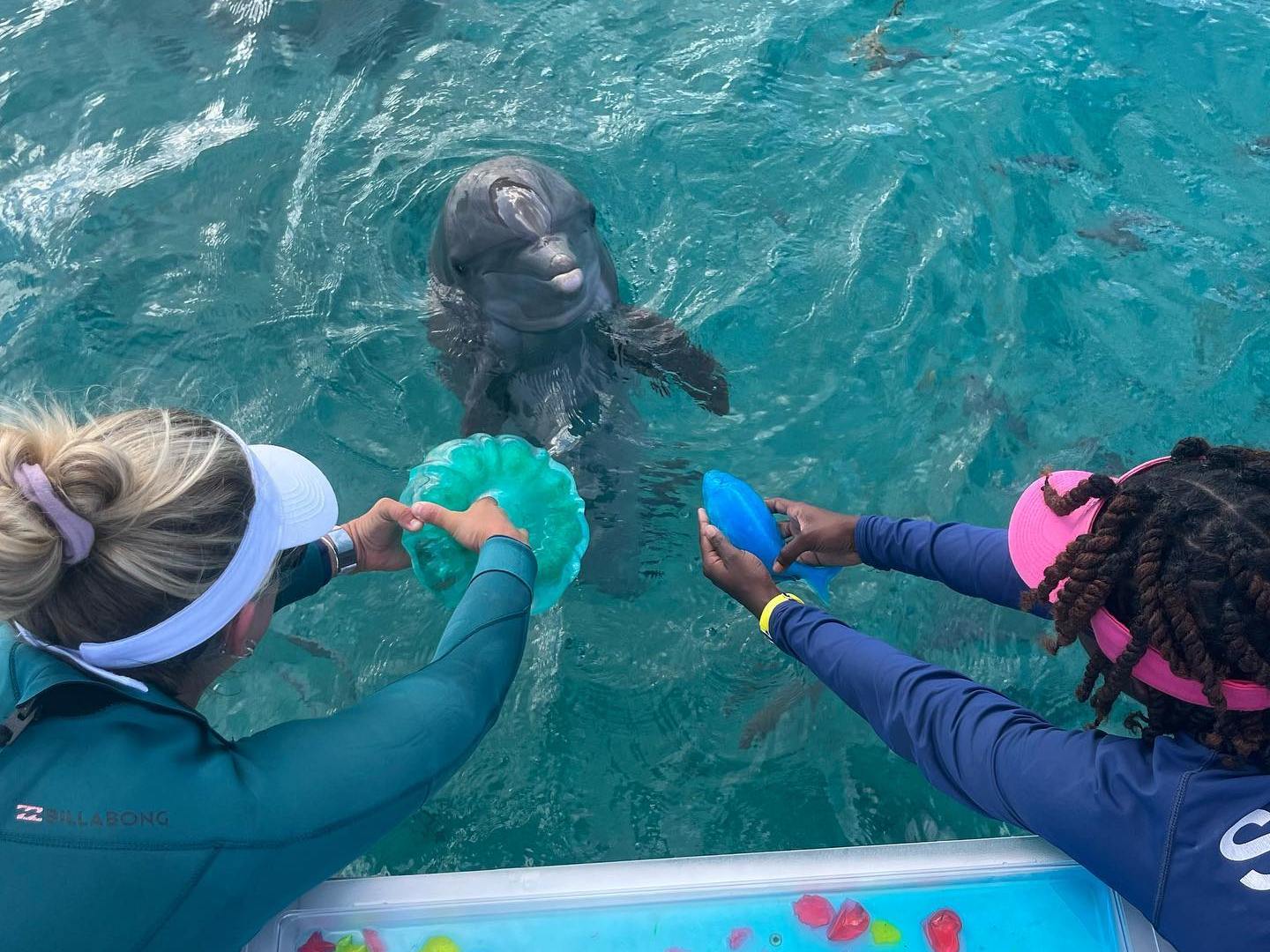 a group of people swimming in a pool of water