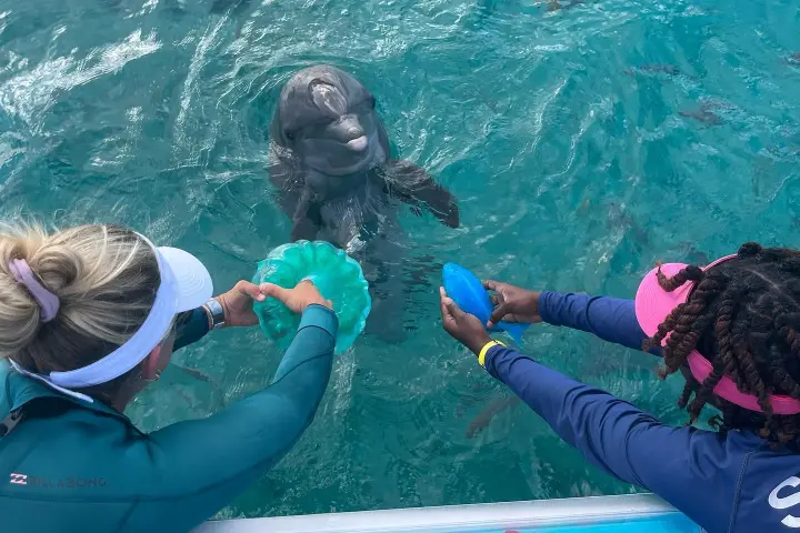 a group of people swimming in a pool of water