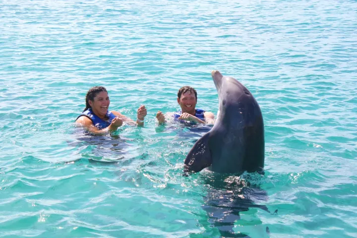 a group of people swimming in a pool of water