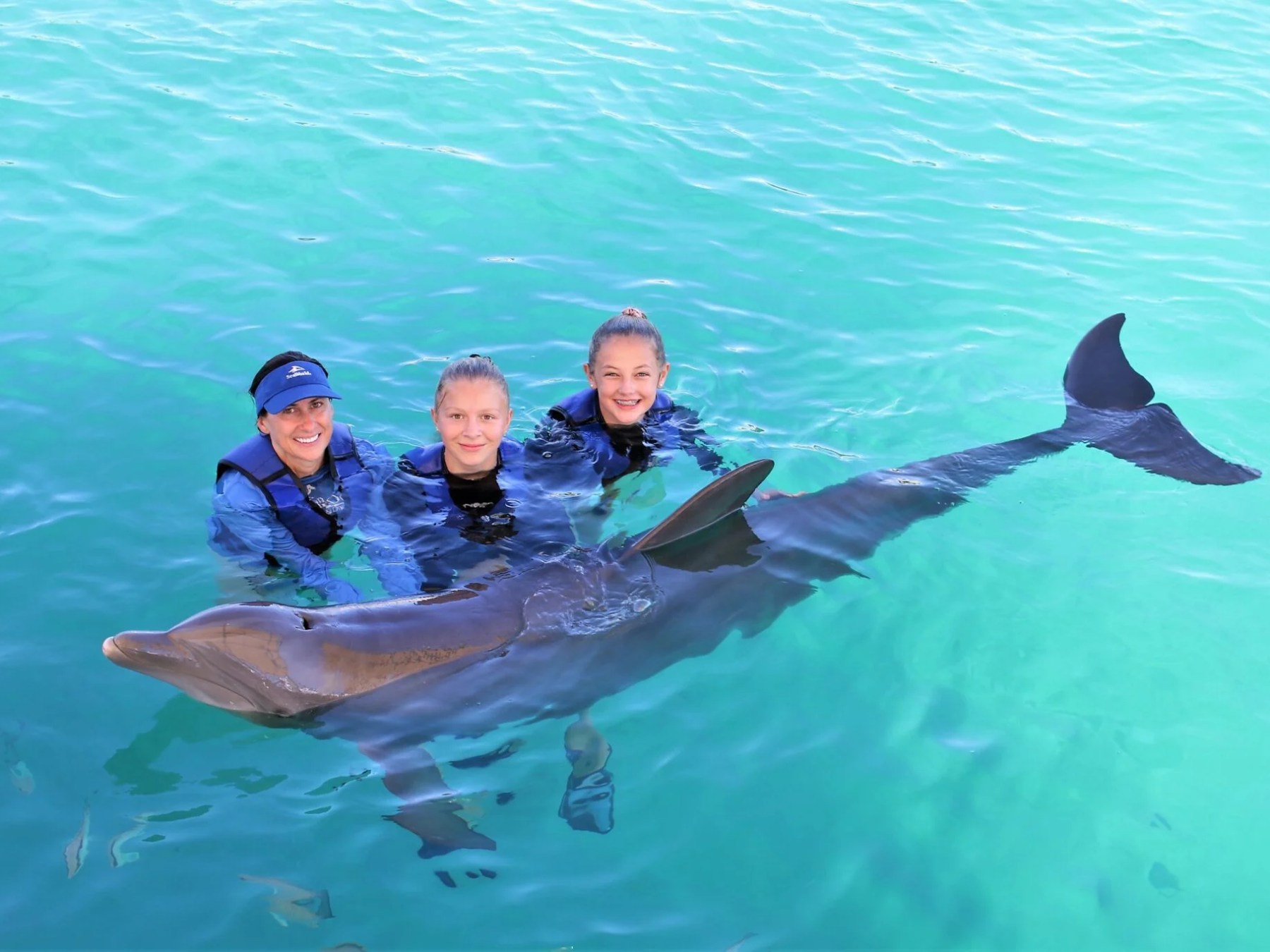 a person riding a fish swimming under water