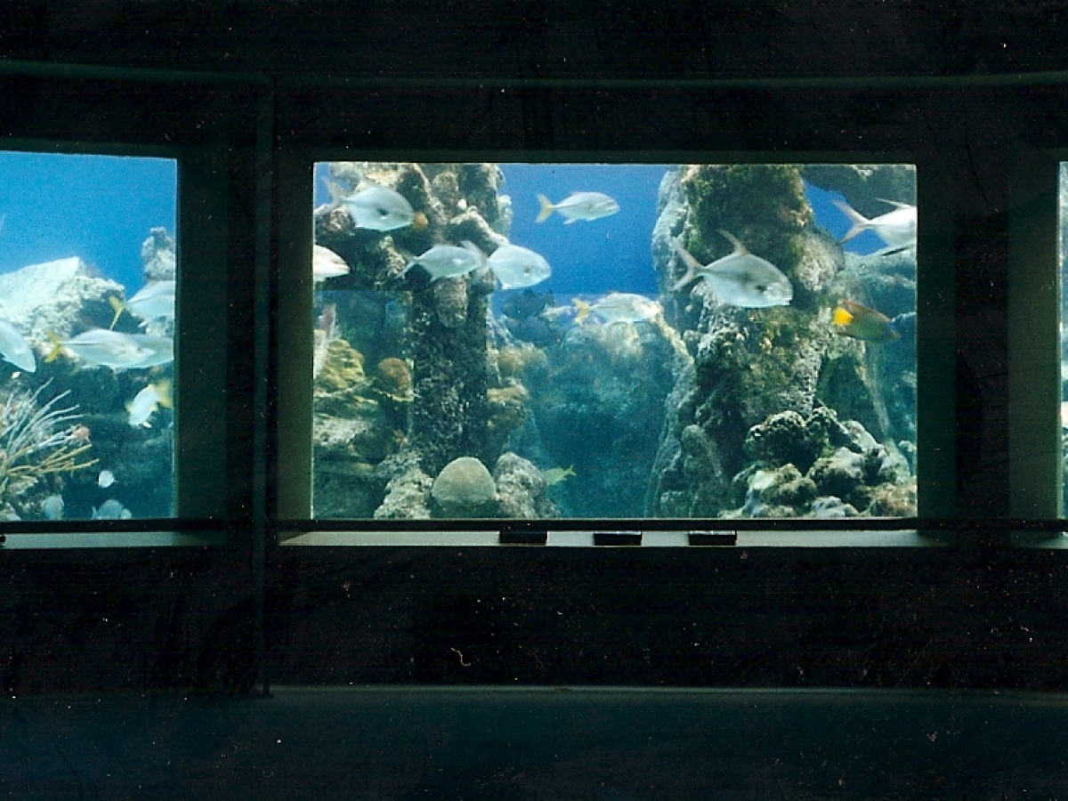 a view of the television