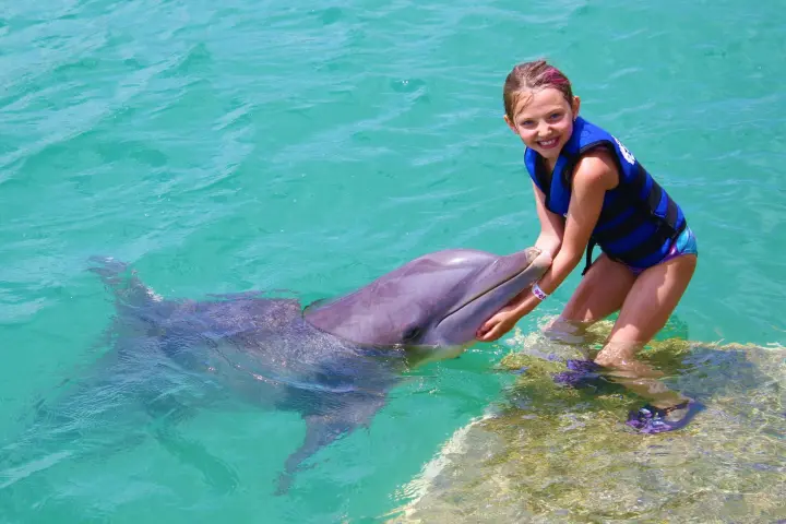 a person swimming in the water