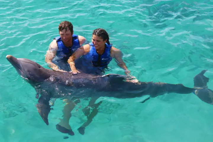 a man swimming in a pool of water