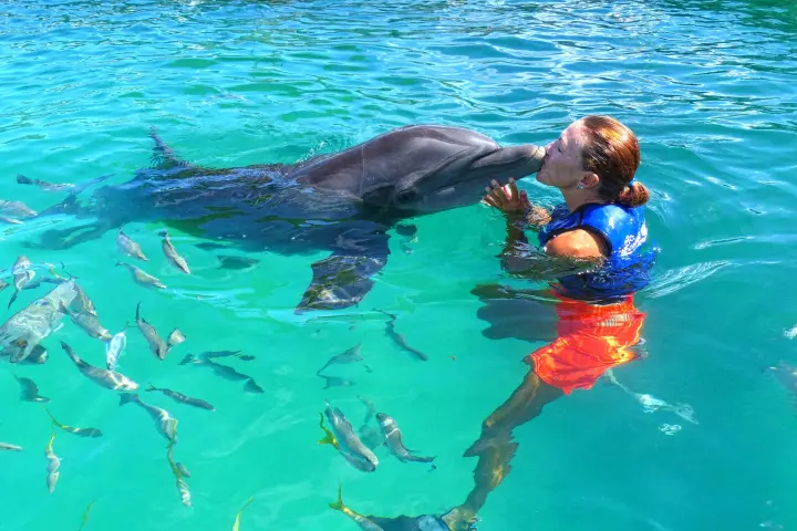 a dog swimming in a body of water