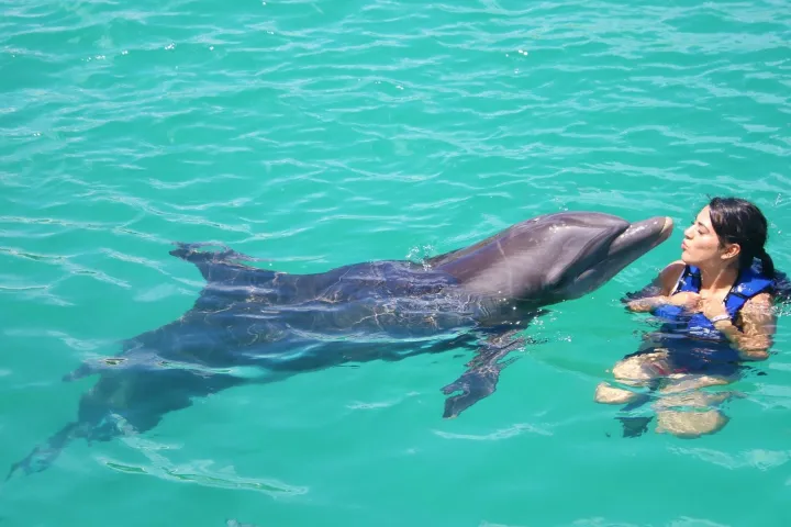 a person swimming in a pool of water