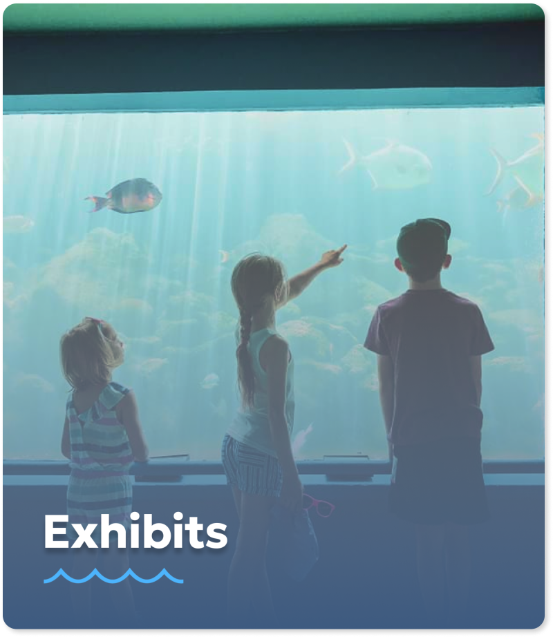 a person standing in front of a television screen