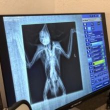 a screen shot of a computer