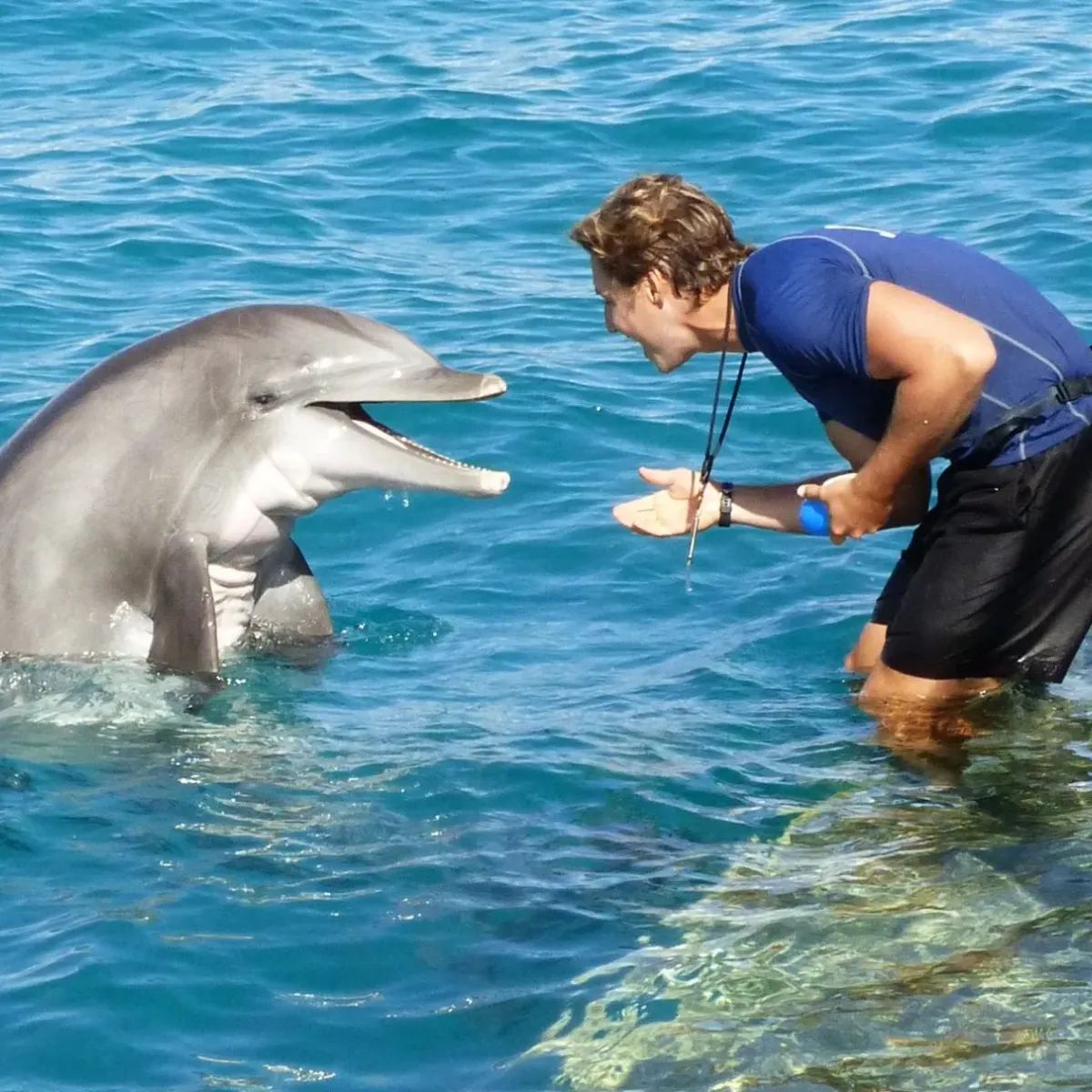 a man swimming in a body of water