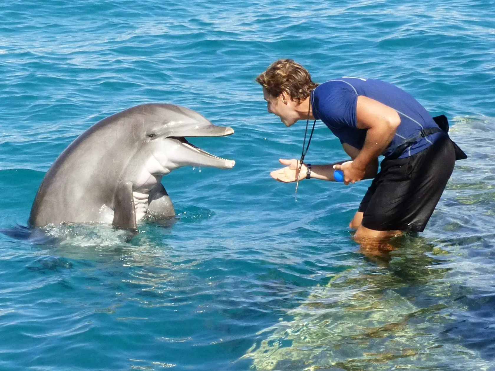 a person swimming in a body of water