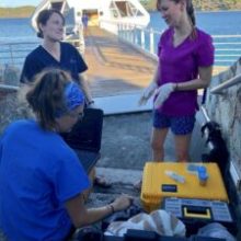 a group of people standing next to a person