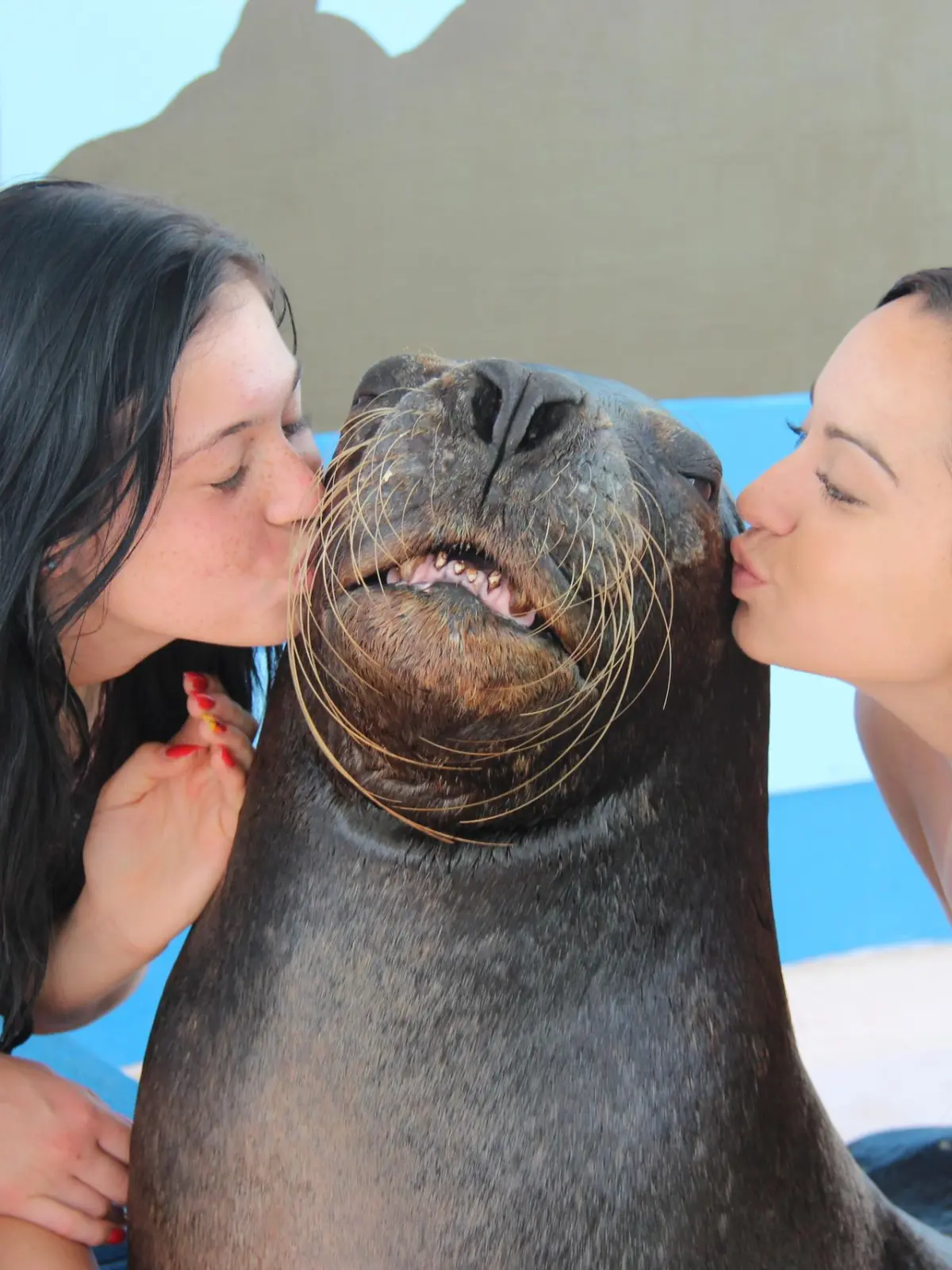 a close up of a woman