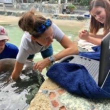 a man and a woman sitting on the ground