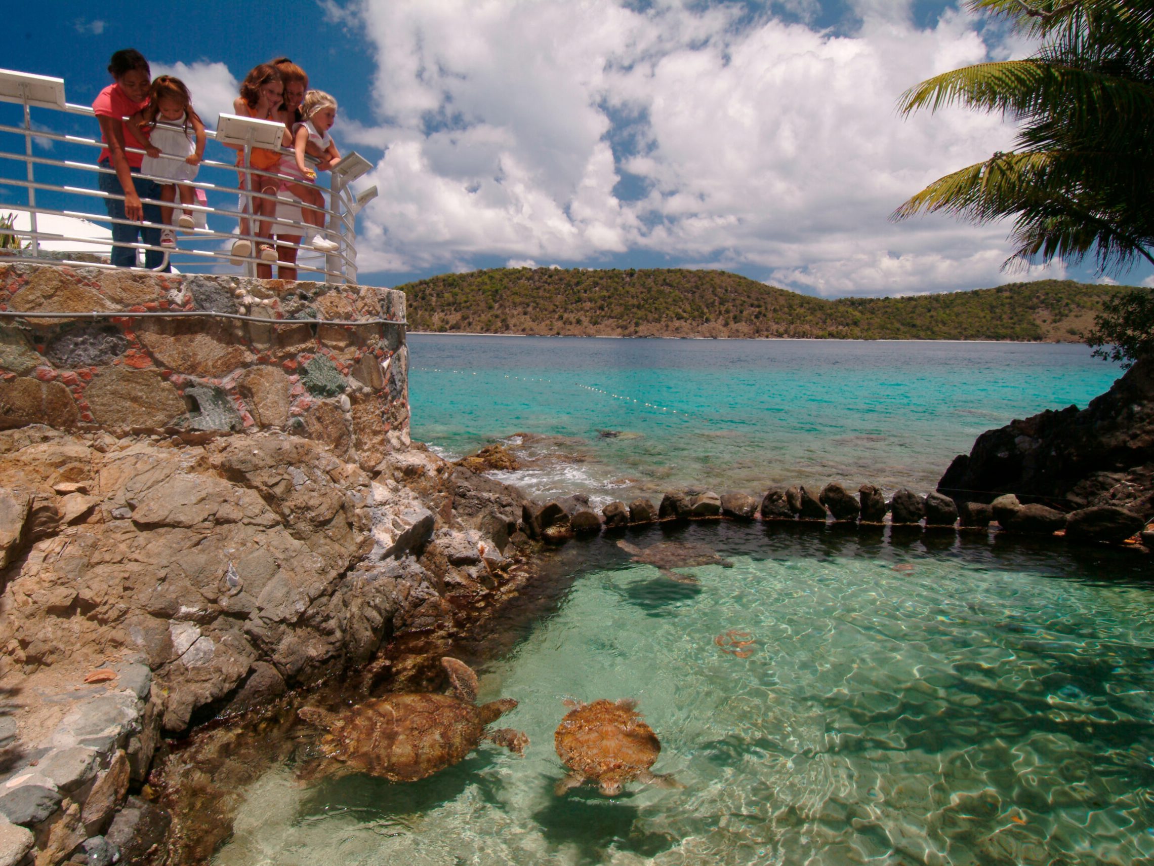 a group of people on a rock next to a body of water