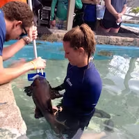 a child swimming in a pool of water