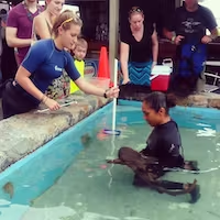 a group of people in a pool