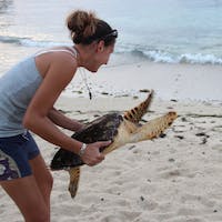 a person playing frisbee on a sandy beach