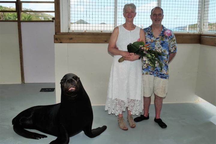 a person holding a dog