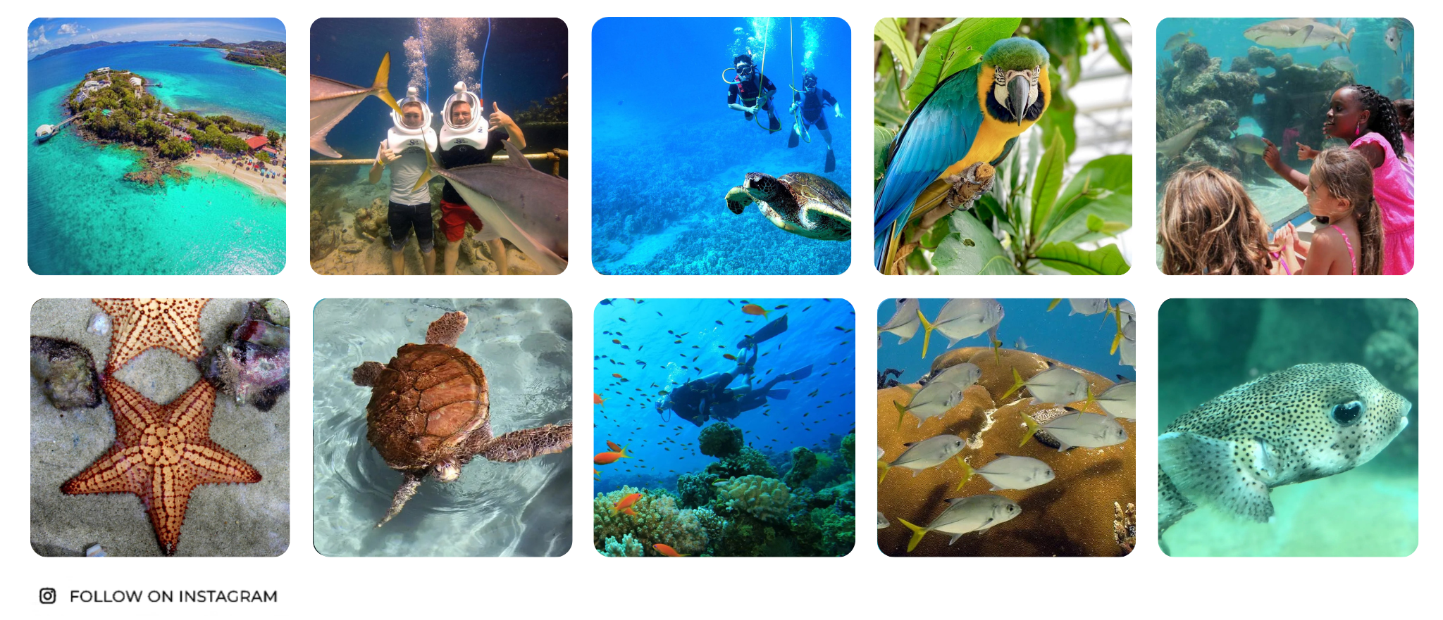 a bunch of items that are posing for a photo