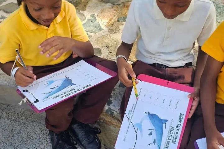 Two children in uniforms sitting on steps, writing on clipboards with images of sharks.